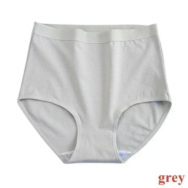 Menstrual Panties Physiological Pants Women Underwear Period Cotton Absorb Water Quick-dry Briefs Female Lingerie Plus Size