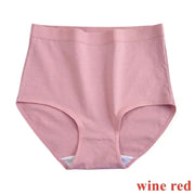 Panties for Menstruation Cotton Menstrual Panties High Waist Period Underwear Culotte Leak Proof Bragas Menstruales