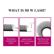 Fadvan 5D W Shaped Eyelash Extensions 0.07 D Natural Faux Mink Lashes