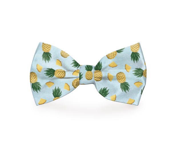 Tropic Like It's Hot Pineapple Dog Bow Tie